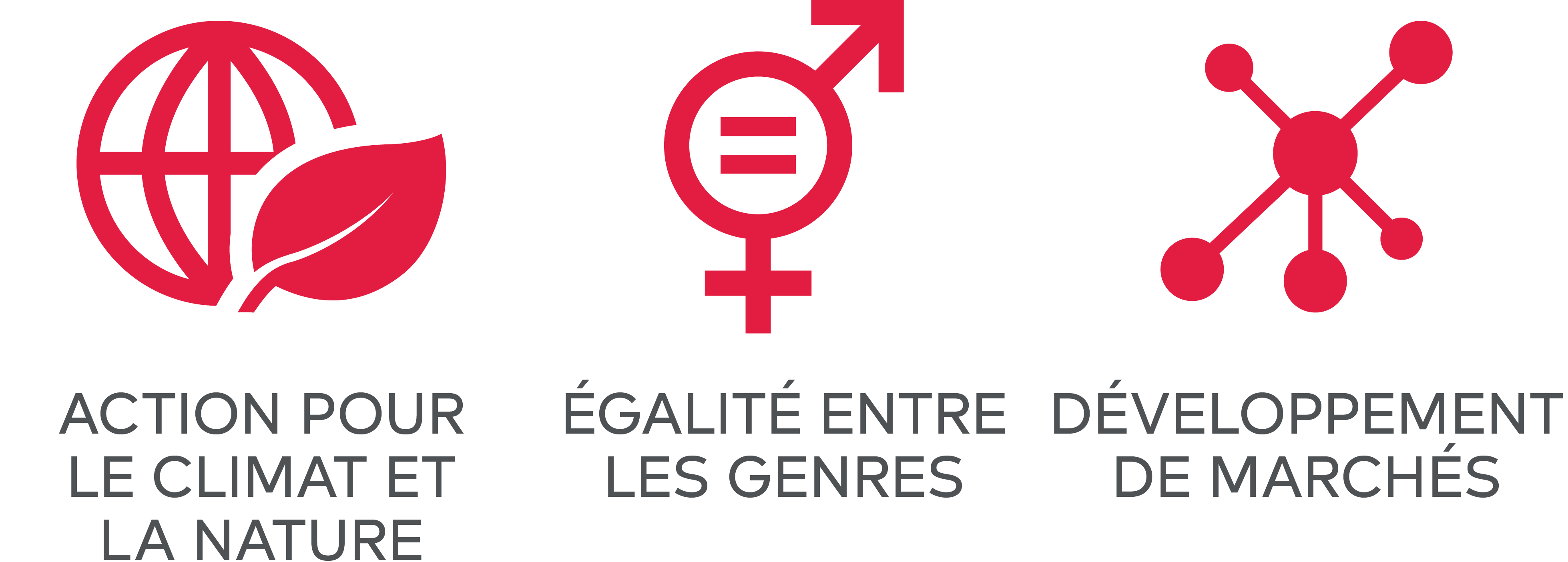 Development Impact Goals FR