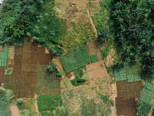 farm fields in Nigeria view from above