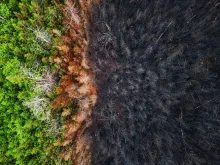 aerial view of wildfire damage