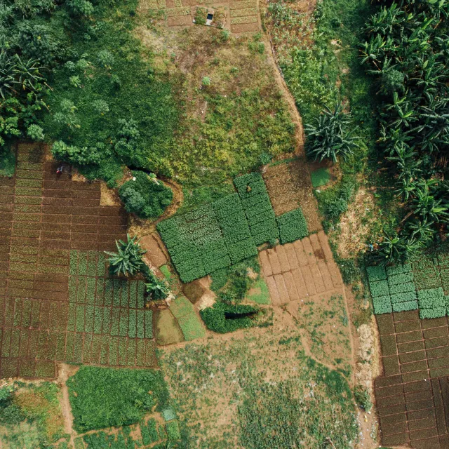 farm fields in Nigeria view from above